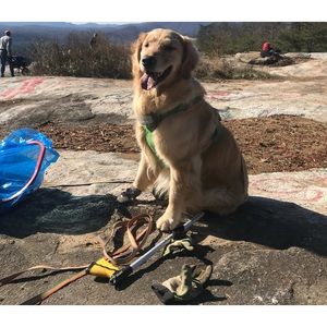 Meet your Posher, Cynthia